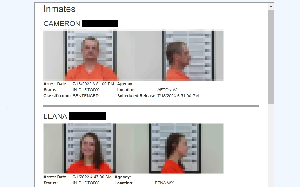 A screenshot from the Lincoln County Inmate Roster page shows inmates' list details with their full name, arrest date, status classification, agency, location, scheduled release, and mugshots.